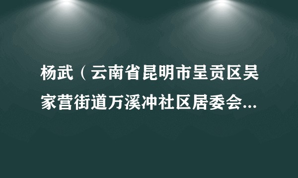 杨武（云南省昆明市呈贡区吴家营街道万溪冲社区居委会原主任）