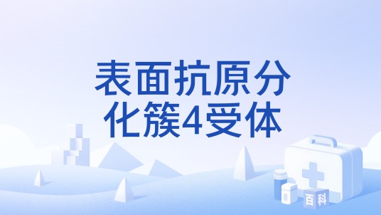 表面抗原分化簇4受体