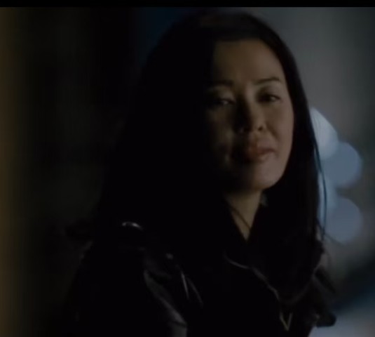 麦琪（动作电影《敢死队2》中的角色）