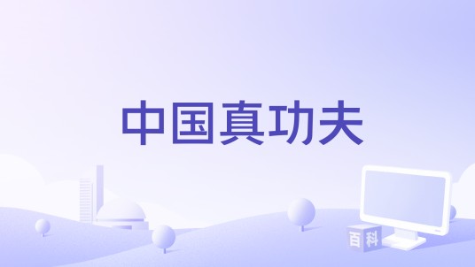 中国真功夫（陈洪民执导的电影）