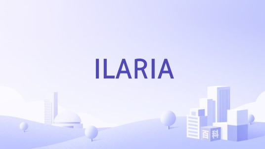 ILARIA（中国国际女装品牌）