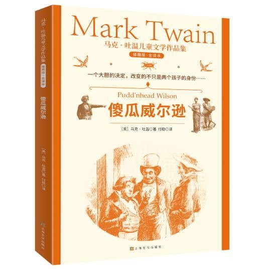 傻瓜威尔逊（2021年上海文化出版社出版的图书）