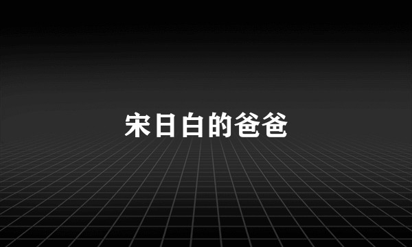 宋日白的爸爸