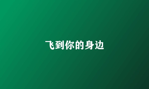 飞到你的身边