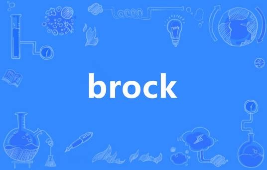 Brock（英语单词）