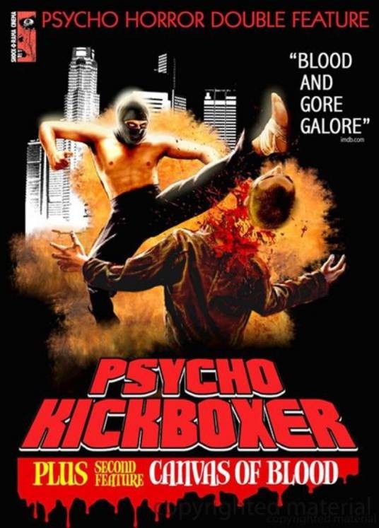 黑暗天使（美国1997年David Haycox,Joseph Lennon执导的电影）