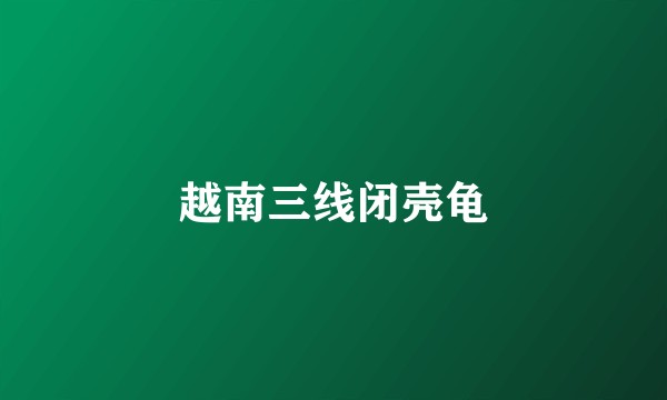 越南三线闭壳龟
