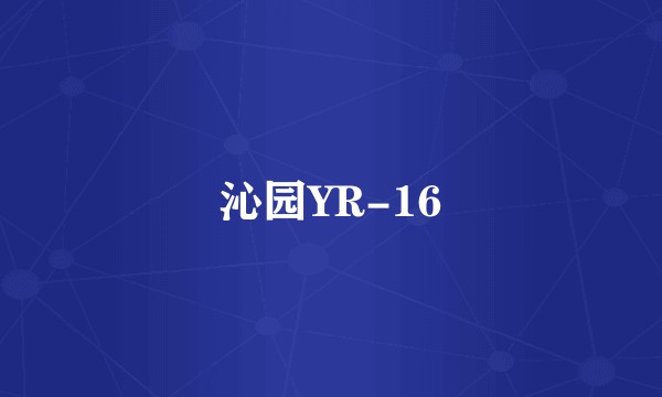 沁园YR-16