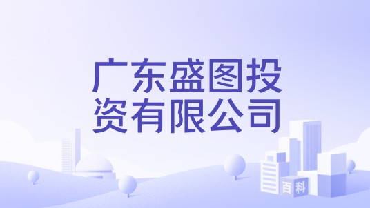 广东盛图投资有限公司