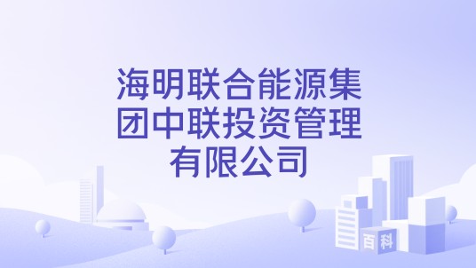 海明联合能源集团中联投资管理有限公司
