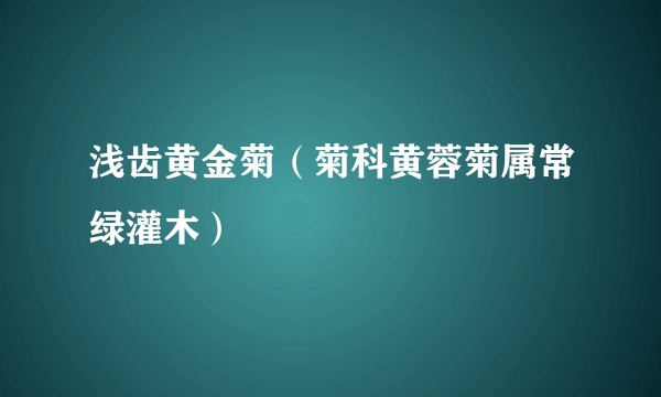 浅齿黄金菊（菊科黄蓉菊属常绿灌木）
