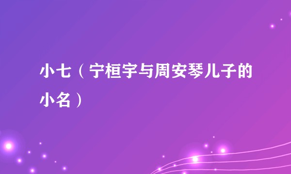 小七（宁桓宇与周安琴儿子的小名）