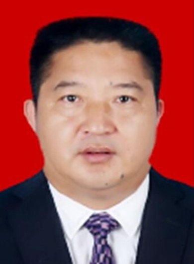 雷现平（重庆市长寿区人大常委会凤城街道工作委员会主任）