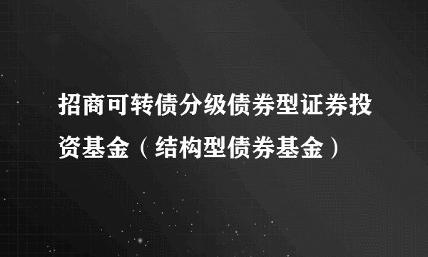 招商可转债分级债券型证券投资基金(结构型债券基金)