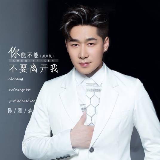 你能不能不要离开我（陈雅森男声版演唱的歌曲）