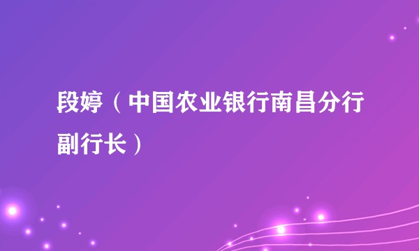 段婷（中国农业银行南昌分行副行长）