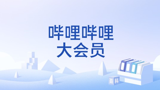 哔哩哔哩大会员