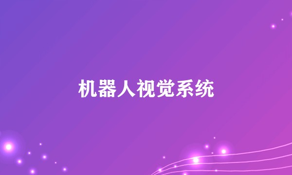 机器人视觉系统