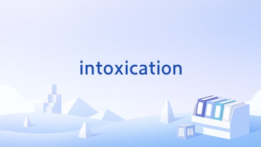 intoxication（英文单词）