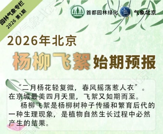 杨柳飞絮预报