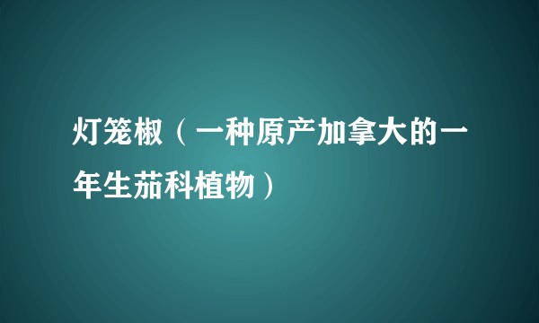 灯笼椒（一种原产加拿大的一年生茄科植物）