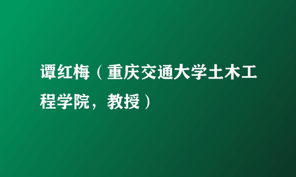 谭红梅（重庆交通大学土木工程学院，教授）