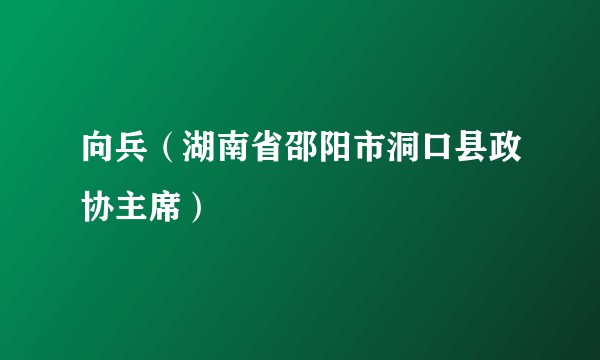 向兵（湖南省邵阳市洞口县政协主席）