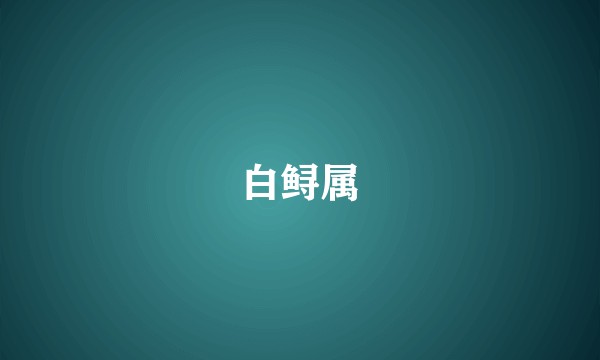 白鲟属