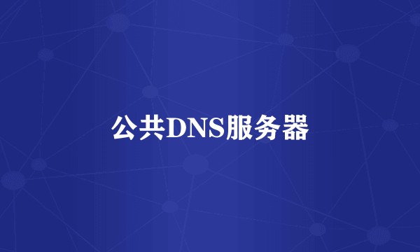 公共DNS服务器