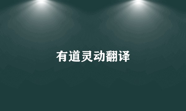 有道灵动翻译