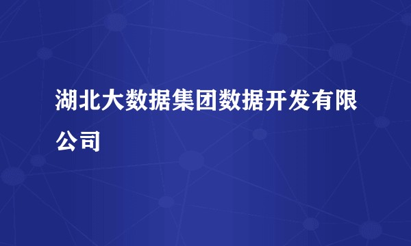 湖北大数据集团数据开发有限公司