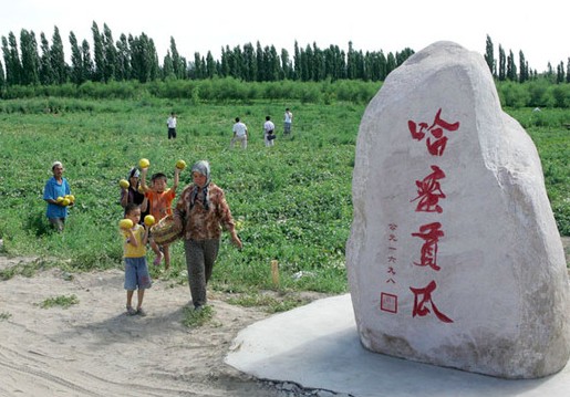 哈密贡瓜