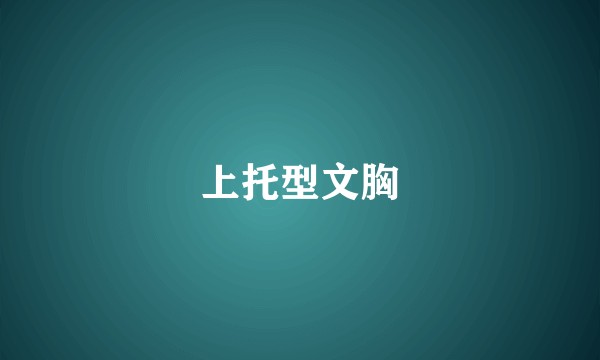 上托型文胸