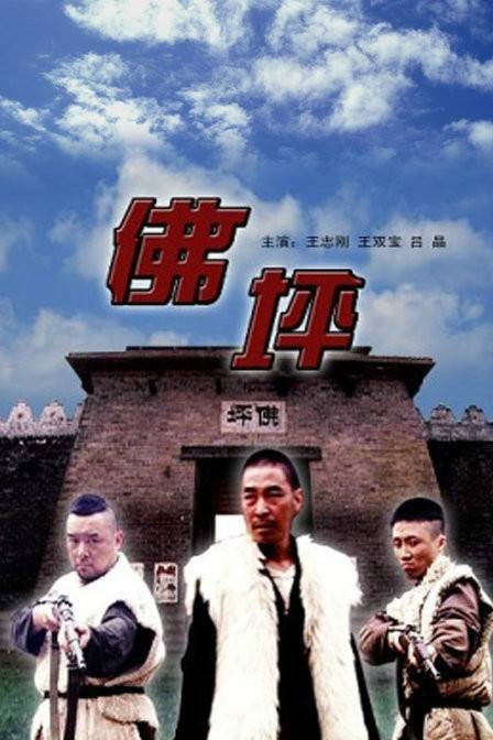 佛坪（2004年高峰执导的武打电影）