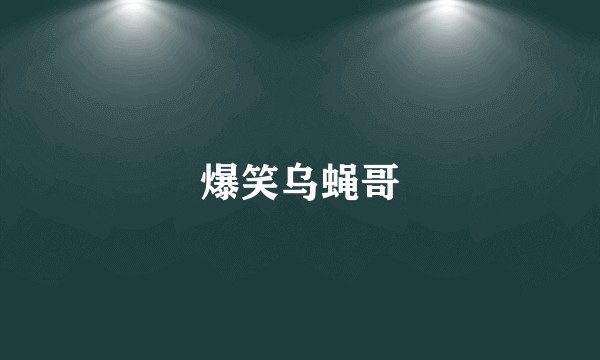 爆笑乌蝇哥