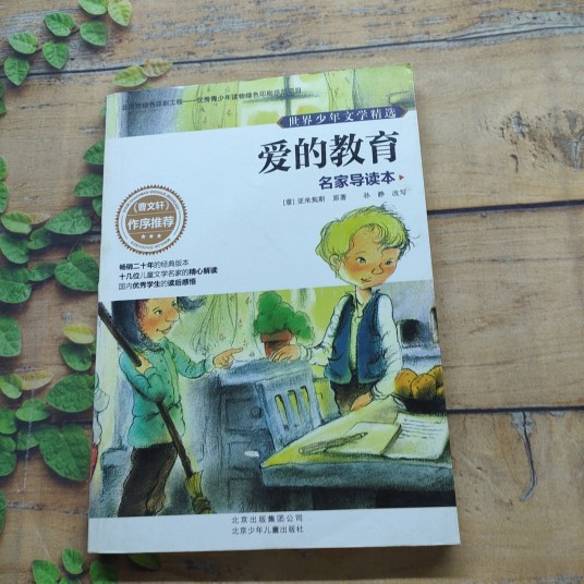 世界少年文学精选·名家导读本:爱的教育