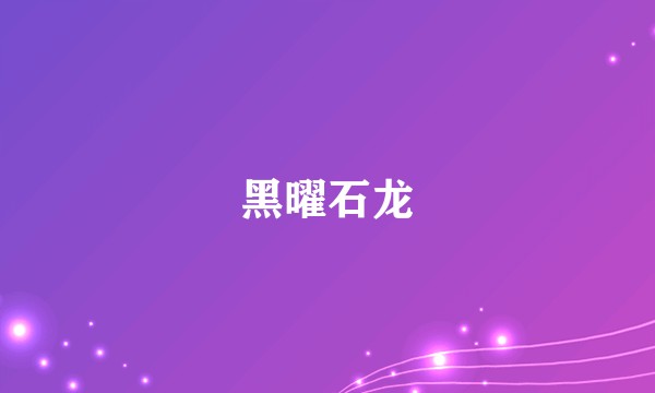 黑曜石龙