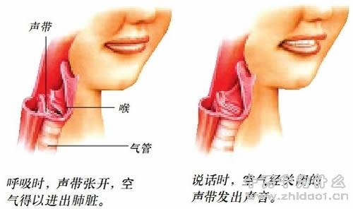 发声
