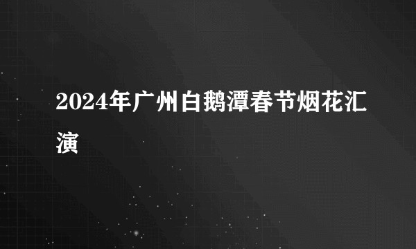 2024年广州白鹅潭春节烟花汇演