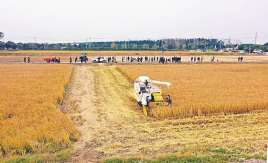 无人农场（人工不进入农场的情况下的农场）