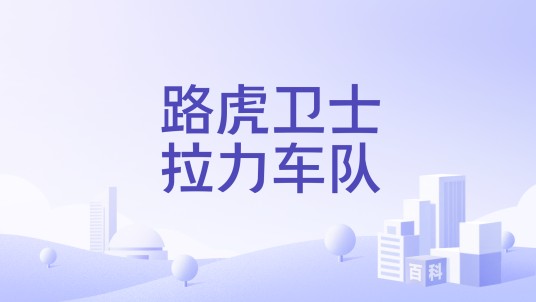 路虎卫士拉力车队