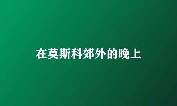 在莫斯科郊外的晚上