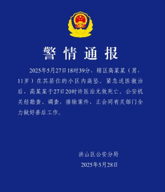5·27武汉男孩坠亡事件