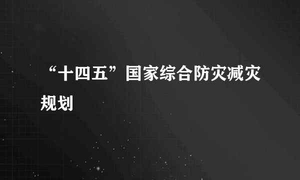 “十四五”国家综合防灾减灾规划