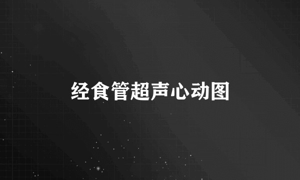 经食管超声心动图