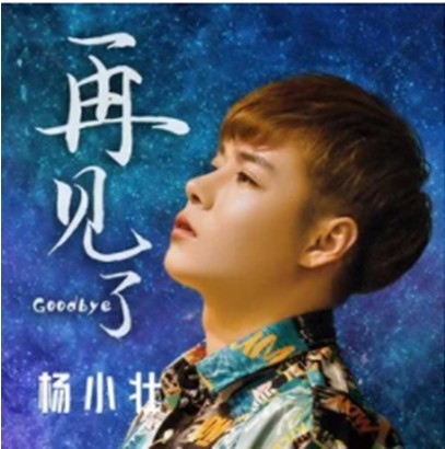 再见了（杨小壮演唱歌曲）