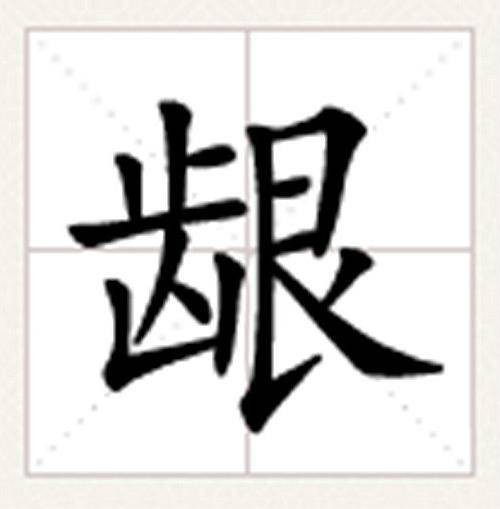 龈