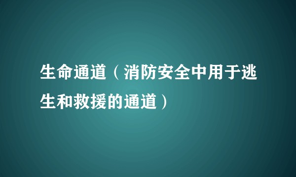 生命通道（消防安全中用于逃生和救援的通道）