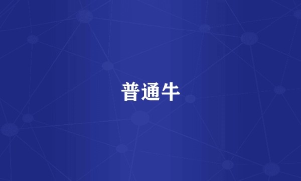 普通牛