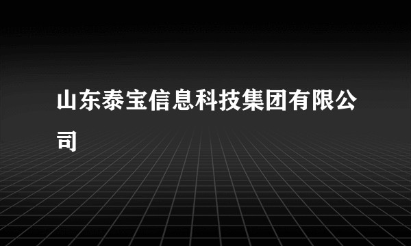 山东泰宝信息科技集团有限公司